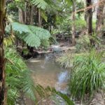 A small waterfall in a jungle setting.