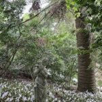 A statue of a woman is located in a garden, surrounded by white flowers.