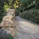 A stone wall with a pathway leading to a forest.