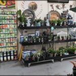 A store with a large display of potted plants and flowers.