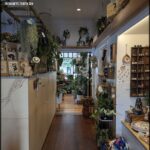 A store with a lot of plants and pottery.