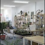 A store with a variety of potted plants and bottles.
