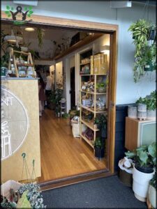 A store with a wooden floor and a variety of potted plants.