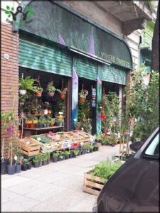 A storefront with a green and purple mural on the wall, selling plants and flowers.