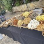 A table filled with various mushrooms and other food items.