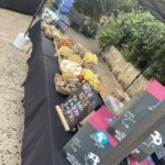 A table full of food and drinks is set up for a gathering.
