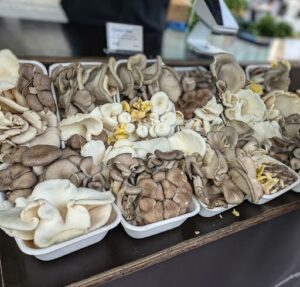 A table full of mushrooms, some of which are in a box.