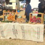 A table full of vegetables, including carrots, is set up for sale.