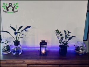 A table with three potted plants and a candle.