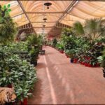 A tiger statue stands in front of a large collection of potted plants.