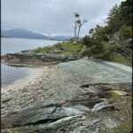 A tree stands alone on a rocky shore, overlooking a lake.