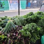 A variety of fresh vegetables are displayed at a market, including broccoli, cabbage, and lettuce.