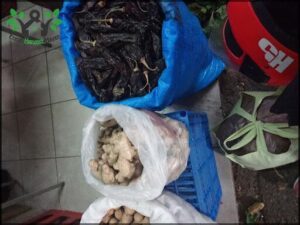 A variety of fresh vegetables, including peppers and onions, are displayed in bags and baskets.