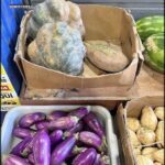 A variety of fruits and vegetables are displayed in boxes, including squash, eggplant, and watermelon.