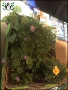 A variety of plants are growing in a box, including purple flowers and green leaves.