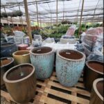 A variety of pots and vases are displayed in a garden shop, ready for customers to choose from.