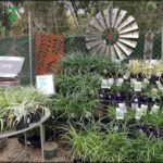 A variety of potted plants are displayed in a garden shop, including grasses and other plants.