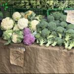 A variety of vegetables, including broccoli, are displayed for sale at a market.