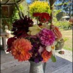 A vase filled with a variety of flowers sits on a wooden table.