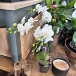 A vase filled with white flowers sits on a table next to a box of matches.