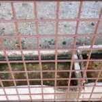 A view of a cage with a metal fence.