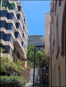 A view of a city street with a brick building and a tree.