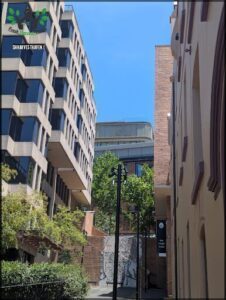 A view of a city street with a brick building and a tree.