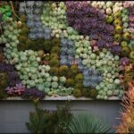 A wall covered in various types of cacti and succulents.