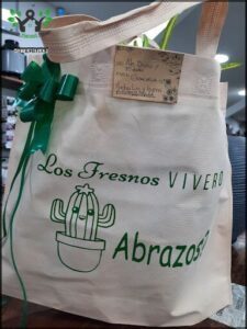 A white bag with a green bow and a cactus on it.