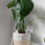 A white pot with a teddy bear face on it.