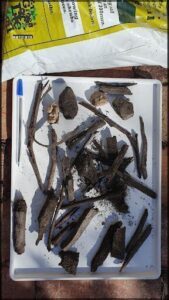 A white tray filled with various pieces of wood.