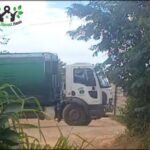 A white truck is parked in front of a green truck, with a tree in the background.