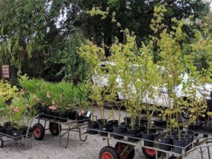 A white truck is parked next to a cart filled with potted plants.