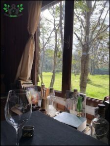 A wine glass sits on a table next to a window, overlooking a lush green field.