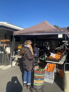 A woman is standing in front of a fruit stand, looking at her cell phone.