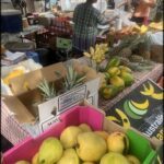 A woman is standing in front of a table full of fruits, including bananas and pineapples.