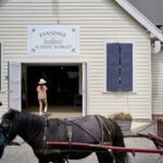 A woman is walking a horse that is pulling a cart.