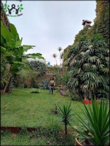 A woman is walking through a garden with a blue umbrella.