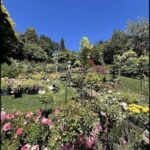 A woman stands in a garden filled with flowers, surrounded by a variety of plants.