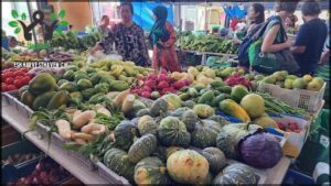 A woman stands in front of a table filled with a variety of fruits and vegetables, including squash, cucumbers, and broccoli.