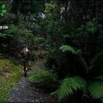 A woman wearing a hat is walking down a path in the woods.