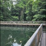 A wooden bridge over a body of water with a sign on the railing.