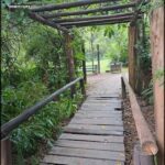 A wooden bridge over a forest path.