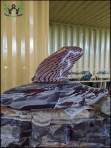 A wooden dolphin statue is displayed on a rock.
