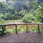 A wooden fence overlooks a river, with a bench nearby for relaxation.