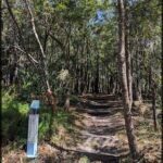 A wooden sign is posted on a trail in the woods.