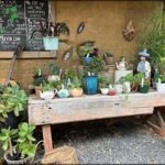 A wooden table filled with various potted plants and a guitar.