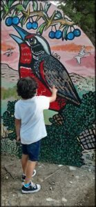 A young boy is pointing at a colorful bird on a wall.