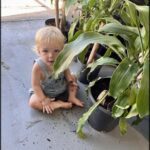 A young boy is sitting on the ground next to a potted plant.