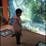 A young boy is standing in front of a large picture of a forest, holding a stuffed animal.